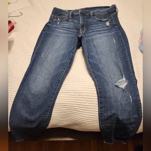 Gap Jegging 14R